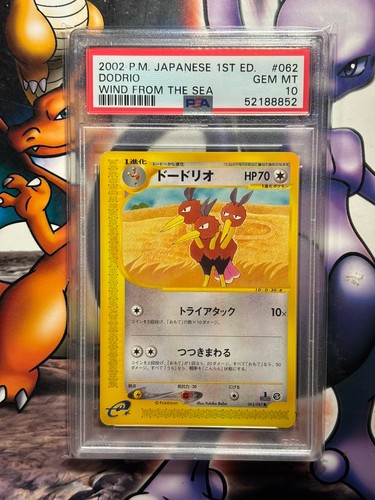 Dodrio