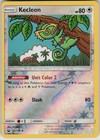 Kecleon