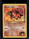 Brock's Vulpix