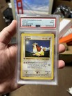 Pidgey