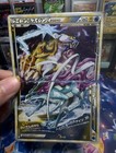 Raikou & Suicune Legend