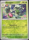 Floragato