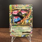M Venusaur EX