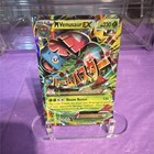 M Venusaur EX