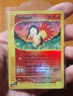 Cyndaquil