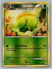 Skiploom