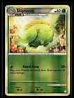 Skiploom