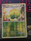 Skiploom