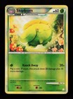 Skiploom