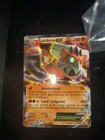Landorus EX