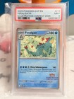 Feraligatr