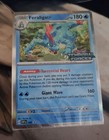 Feraligatr