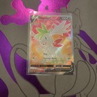 Shaymin V