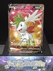 Shaymin V