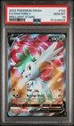 Shaymin V