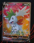 Shaymin V