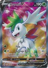 Shaymin V