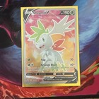Shaymin V
