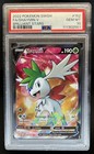 Shaymin V