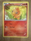 Torchic
