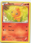 Torchic