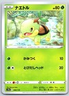 Turtwig