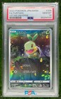 Turtwig
