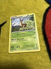 Sawsbuck
