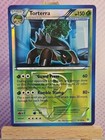 Torterra