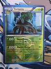 Torterra