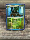 Torterra