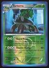 Torterra