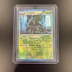 Torterra