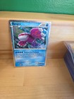 Kyogre