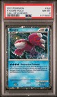 Kyogre