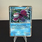 Kyogre