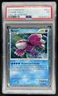 Kyogre