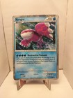 Kyogre