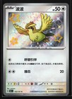 Pidgey