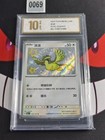 Pidgey