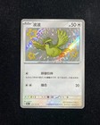 Pidgey