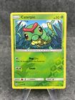 Caterpie