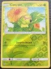 Caterpie