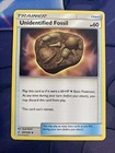 Unidentified Fossil