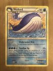 Wailord