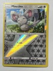 Minccino