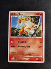 Ponyta