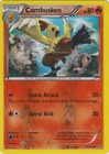 Combusken