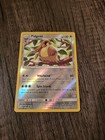 Pidgeot
