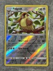 Pidgeot